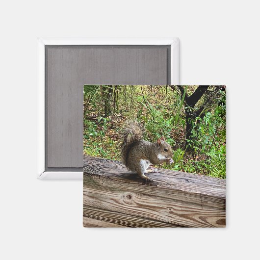 Hongaarse eekhoorn magneet (Voorkant / Achterkant)