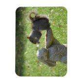 Hongaarse eekhoorn op konijneninvoer magneet (Verticaal)