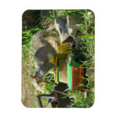 Hongaarse eekhoorn op Speelgoed Truck Magnet Magneet (Verticaal)