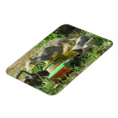 Hongaarse eekhoorn op Speelgoed Truck Magnet Magneet (Linkerzijde)