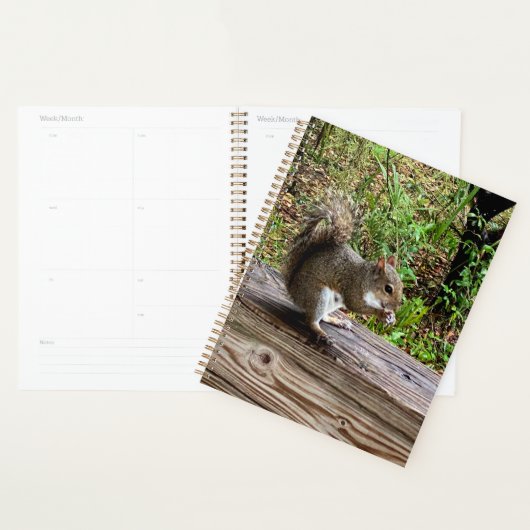 Hongaarse eekhoorn planner (Display)