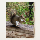 Hongaarse eekhoorn planner (Achterkant)