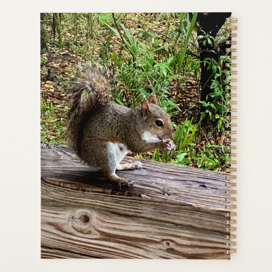 Hongaarse eekhoorn planner (Achterkant)