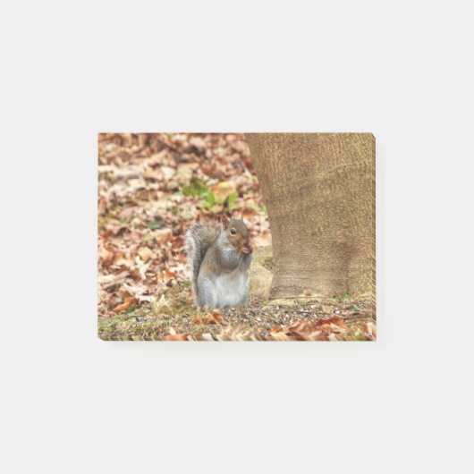 Hongaarse eekhoorn post-it® notes (Voorkant)