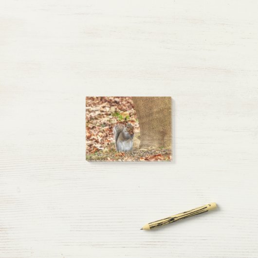 Hongaarse eekhoorn post-it® notes (Op bureau)