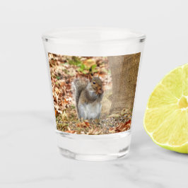 Hongaarse eekhoorn shot glas