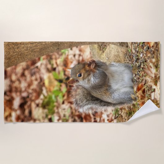 Hongaarse eekhoorn strandlaken (Voorkant)