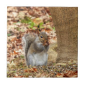 Hongaarse eekhoorn tegeltje (Voorkant)