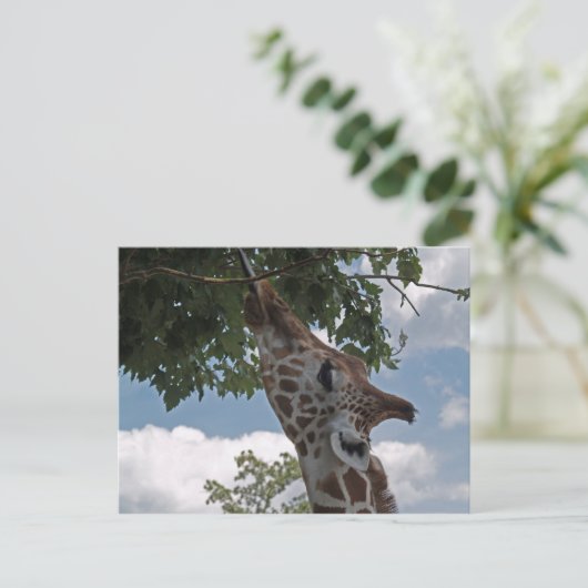 Hongaarse Giraffe Briefkaart (Staand voorkant)