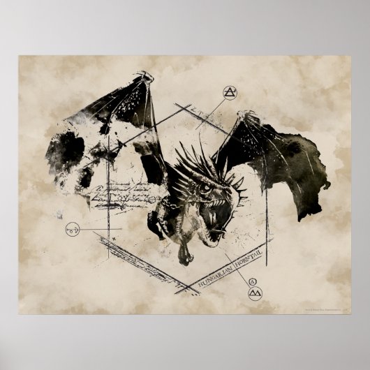 Hongaarse Horntail Dragon Poster (Voorkant)