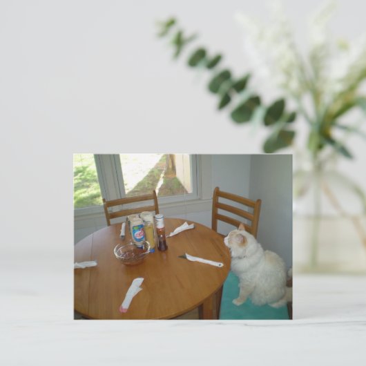 Hongaarse kat briefkaart (Staand voorkant)