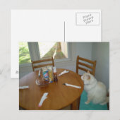 Hongaarse kat briefkaart (Voorkant / Achterkant)