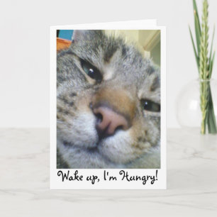 Hongaarse kat Funny Greeting/Birthday Card Kaart