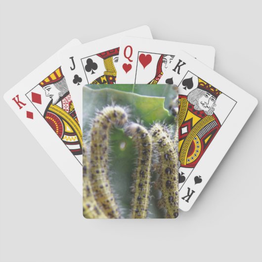 Hongaarse kool Witte pijlers voor het afspelen van Speelkaarten (Achterkant)