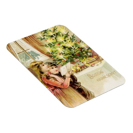 Hongaarse mas 1902 magneet (Rechterzijde)