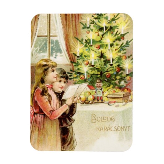 Hongaarse mas 1902 magneet (Verticaal)