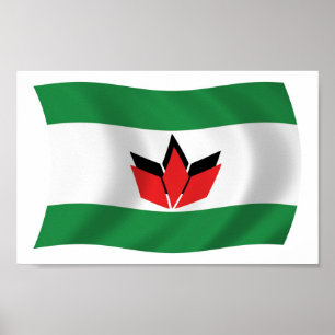 Hongaarse Mens Vlag Poster Print