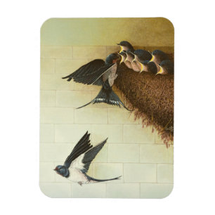 Hongaarse moerassen 2011 magneet