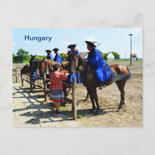 Hongaarse paardenrenders Hongarije Briefkaart (Voorkant)