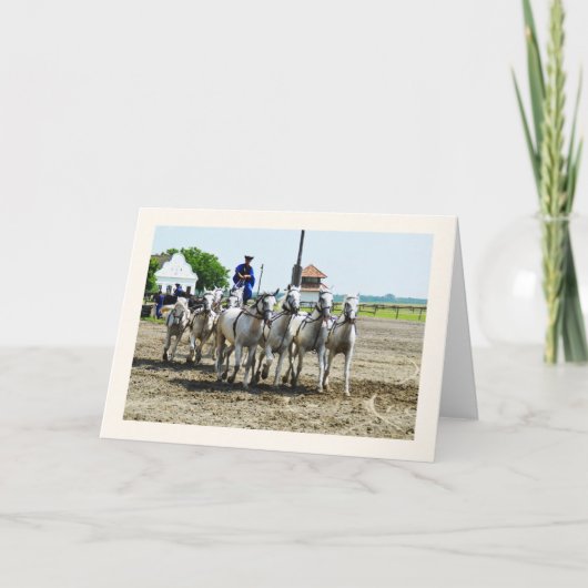 Hongaarse paardrijden kaart (Voorkant)