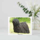 Hongaarse puli 8W48D-03 Briefkaart (Staand voorkant)