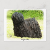 Hongaarse puli 8W48D-03 Briefkaart (Voorkant)