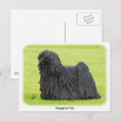 Hongaarse puli 9R71D-101 Briefkaart (Voorkant / Achterkant)