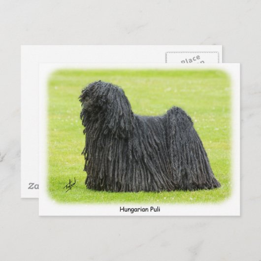 Hongaarse puli 9R71D-101 Briefkaart (Voorkant / Achterkant)