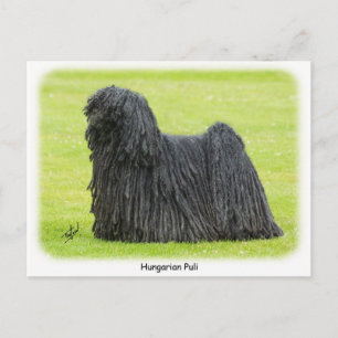 Hongaarse puli 9R71D-101 Briefkaart