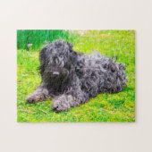 Hongaarse Puli Dog. Legpuzzel (Horizontaal)