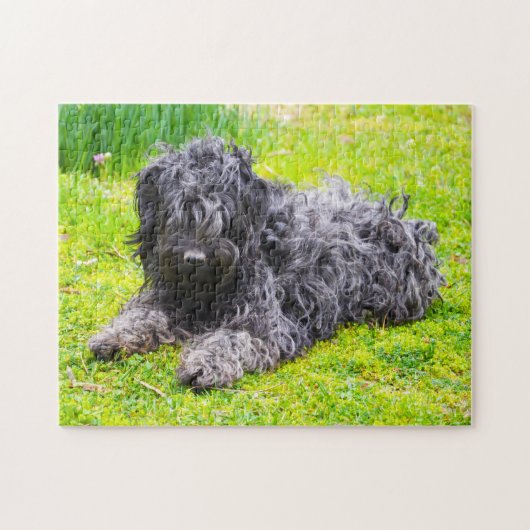 Hongaarse Puli Dog. Legpuzzel (Horizontaal)