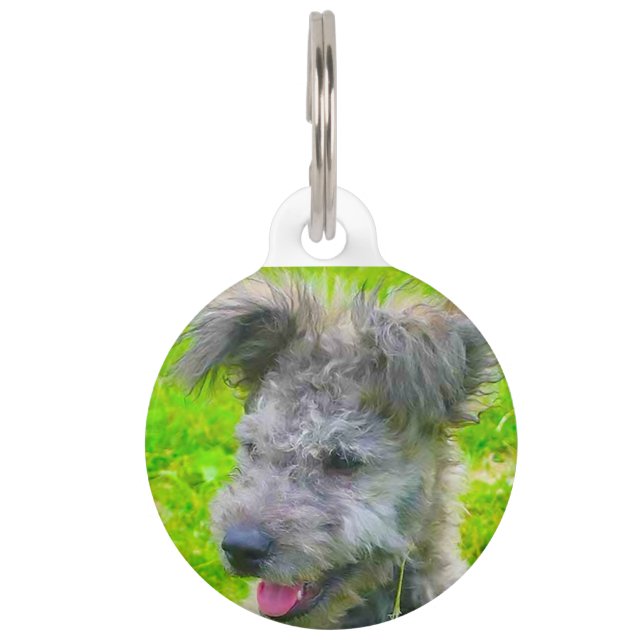 Hongaarse Pumi-hond. Huisdierpenning (Voorkant)