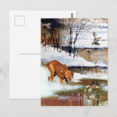 Hongaarse vanissla, jachteenden in de winter briefkaart (Voorkant / Achterkant)