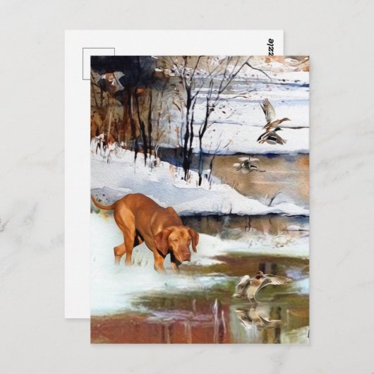 Hongaarse vanissla, jachteenden in de winter briefkaart (Voorkant / Achterkant)