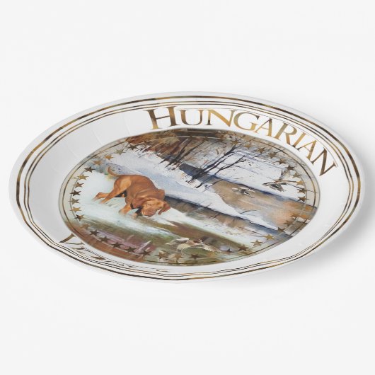 Hongaarse vanissla, jachteenden in de winter papieren bordje (Gekanteld)