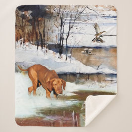 Hongaarse vanissla, jachteenden in de winter sherpa deken