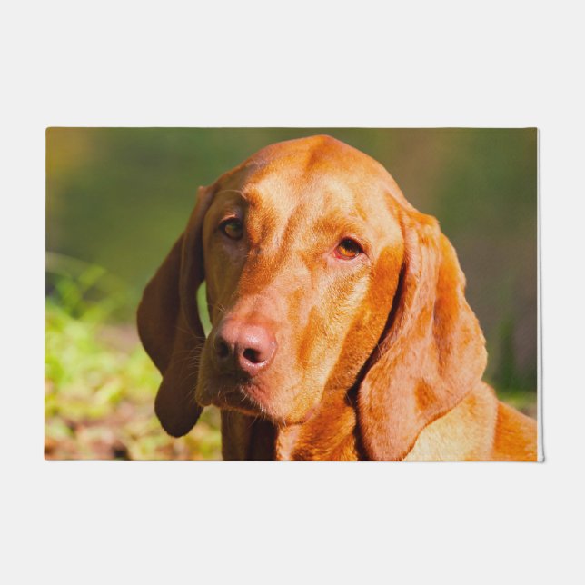 Hongaarse Vizla. Deurmat (Voorkant)