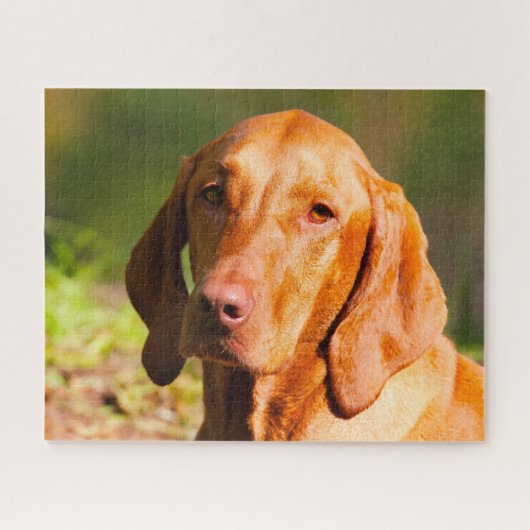 Hongaarse Vizla Dog Jigsaws. Legpuzzel (Horizontaal)