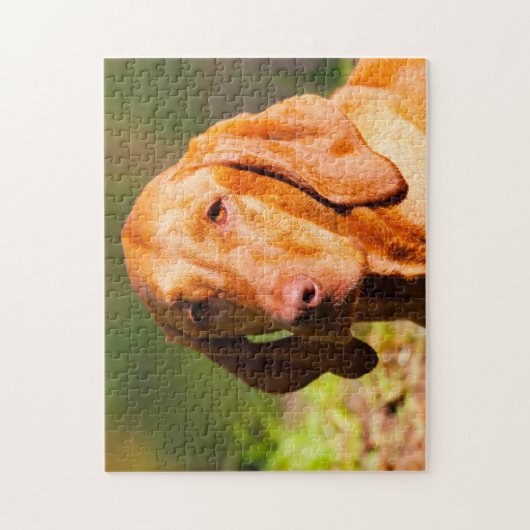 Hongaarse Vizla Dog Jigsaws. Legpuzzel (Verticaal)