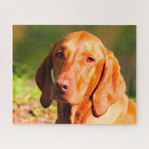 Hongaarse Vizla Hond Legpuzzels. Legpuzzel
