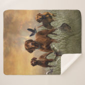 Hongaarse Vizsla Art Sherpa Deken (Voorkant (horizontaal))