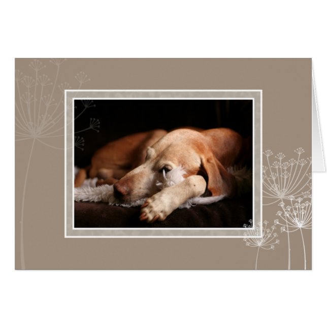 Hongaarse Vizsla Blank Card 004 (Voorkant Horizontaal)