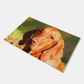 Hongaarse Vizsla. Deurmat (Schuin)