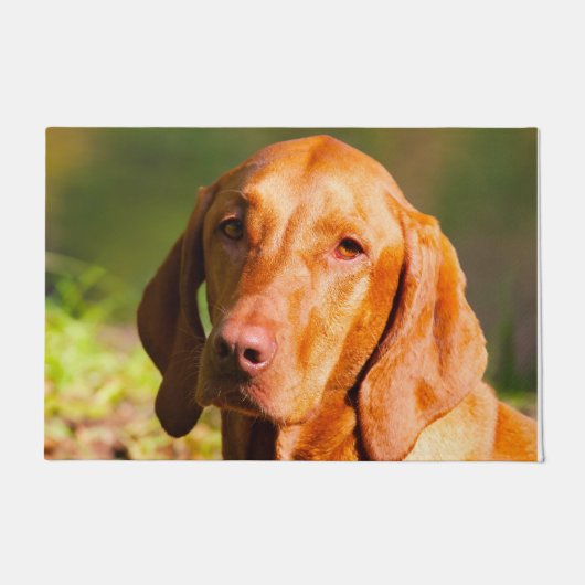 Hongaarse Vizsla. Deurmat (Voorkant)