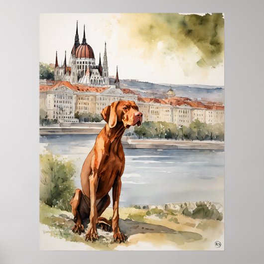 Hongaarse Vizsla - Hond Art Print (Voorkant)