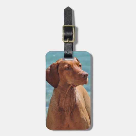 Hongaarse Vizsla-hond Bagagelabel (Voorkant verticaal)