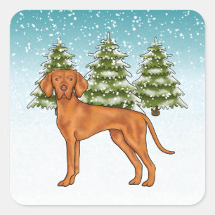 Hongaarse Vizsla-hond Besneeuwd Winterbos Festief Vierkante Sticker