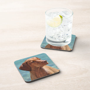 Hongaarse Vizsla-hond Bier Onderzetter