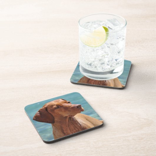 Hongaarse Vizsla-hond Bier Onderzetter (Rechterzijde)