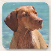 Hongaarse Vizsla-hond Bier Onderzetter (Voorkant)
